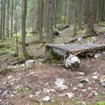 ca 90cm hoher Drop im Wald