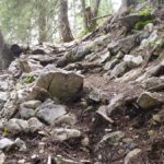 verblockter Trailabschnitt Nahaufnahme