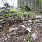 naturbelassene Kurve