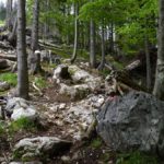 Steiniger Trail am Waldrand