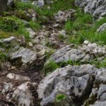 steiniger Trail