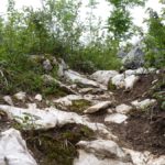 Enger, steiniger Trail