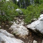 Enger, steiniger Trail