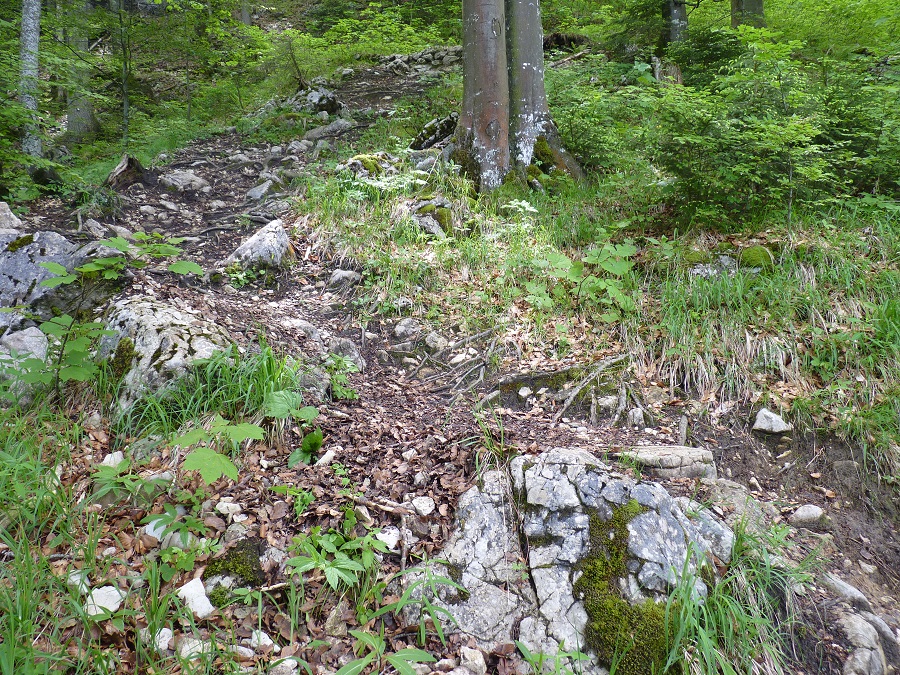 steile Passage mit Wurzeln und Steinen
