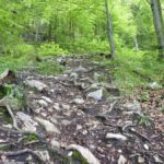 steile Passage mit Wurzeln und Steinen