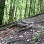 20cm hohe Stufe