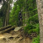 Hopfgarten WoodworX Downhill schwierige Stelle mit Stein und Wurzeln