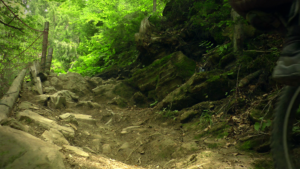 Hopfgarten WoodworX Downhill steinige Passage