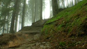 Drops auf der X-Line im Nebel