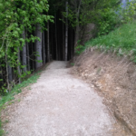 Einfahrt in den Wald Blue Lollipop Wurbauerkogel