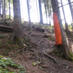 im Wald im Bikepark Wurbauerkogel