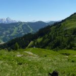 Blick auf die flache Hangquerung