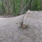 Kleiner Sprung vorm Wallride am Wurbauerkogel