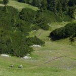 Erste Kurven Grubigalm Trail