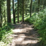 steilste Stelle des Trails Forrest One