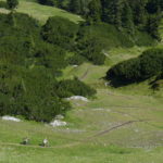 Erster Teil des Grubigalm Trails