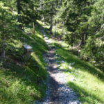 Forrest Two im Wald über steinigen Untergrund