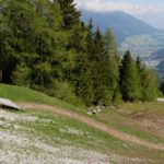 Start des EinsEinser Trails an der Bergstation Elfer Bahnen