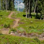 Auerhahntrail Götzens Bikepark Innsbruck