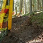 Waldabschnitt Auerhahntrail Bikepark Innsbruk