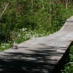 Holzbrücke am Bulgarian Way Götzens