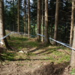 die ersten Meter des Downhills