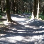 Flowtrail Bikepark Hahnenklee