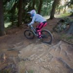 Wurzeln im Bikepark Spicak