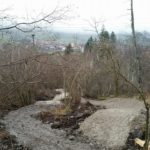 einfache Strecke im Bikepark Hindelang