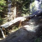 Northshore im Wald Bikepark Hindelang