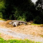 Sprung im Bikepark Hindelang