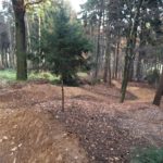 Jumpline Black Mountain Bikepark Elstra, (c) Robin Klinkert