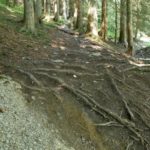 einzige naturbelassene Stelle am Singletrail Wurzeralm