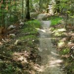 Wellen am Singletrail Wurzeralm