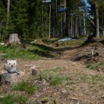 Exit-Trail Bikepark Lipno