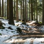 Roter Trail Bikepark Lipno