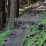 kleine Stufe am Trail