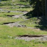 Vor der Kreuzung mit der Forststraße verläuft der Trail über einige Anlieger die Skipiste entlang