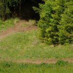 Hier geht es noch ein letztes Mal kurz in den Wald