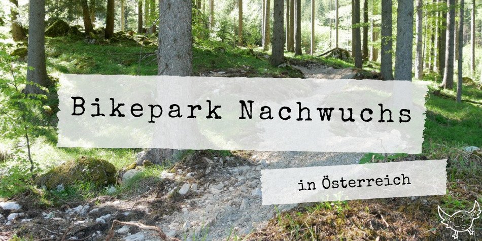 Bikepark Nachwuchs in Österreich