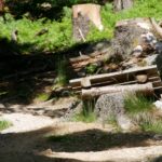ca. 50cm hoher Kicker