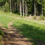 Weg von der Northshore-Line zur Downhill Strecke