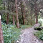 Gap am Singletrail Muttersberg Bludenz