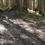 Stelle etwas weiter oben