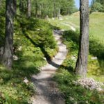 weiterer Streckenverlauf