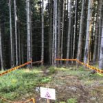 Start der dritten Sektion des AB Trails