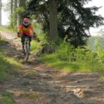 Wurzel Flow am Hardrock Trail