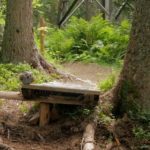 Kleiner Holzdrop auf "Angry Ants" im unteren Teil des Bikepark Wagrain