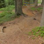 Trail im Bikepark Wagrain