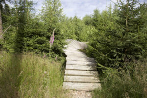 Abschnitt 1 im Emser Bikepark